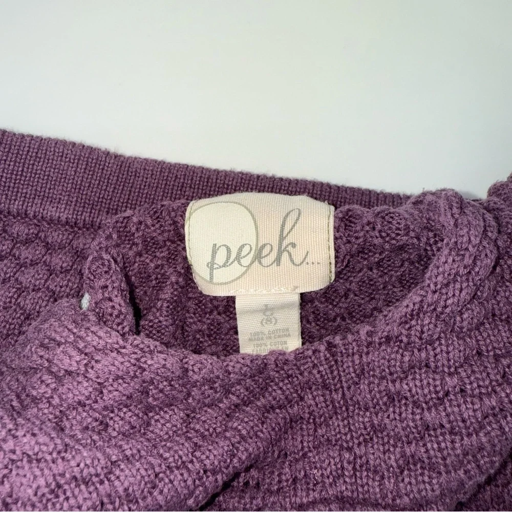 Peek Plum Knit Hoodie Sweater Dress